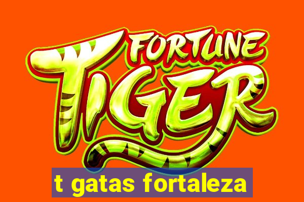 t gatas fortaleza